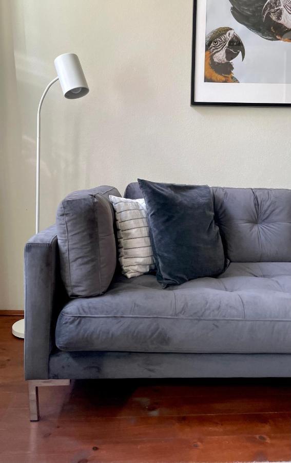 Hip & Minimalist - Stadt Apartments Am Malerweg ピルナ エクステリア 写真