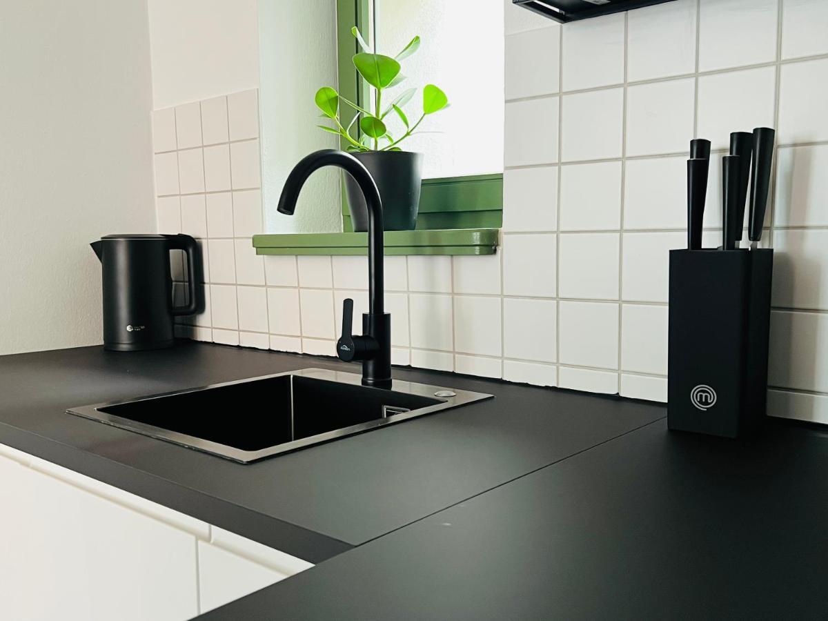 Hip & Minimalist - Stadt Apartments Am Malerweg ピルナ エクステリア 写真